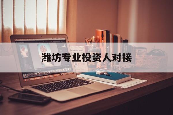 怀化市潍坊专业投资人对接(潍坊专业投资人对接中心)
