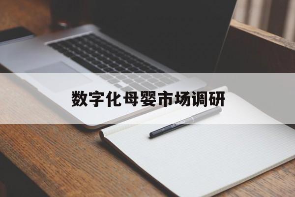 怀化市数字化母婴市场调研(数字化母婴市场调研报告)
